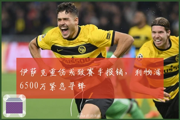 伊萨克重伤或致赛季报销，利物浦6500万紧急寻锋